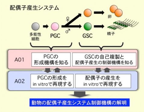 本領域の目的