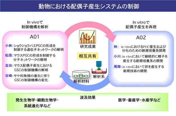 本領域の内容