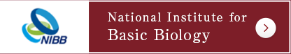 National Institute for Basic Biology