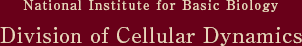 National Institute for Basic Biology Division of Cellular Dynamics