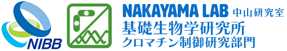 基礎生物学研究所 クロマチン制御研究部門 中山研究室 Nakayama LAB