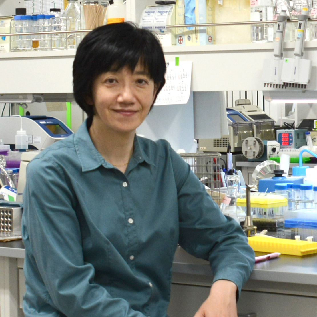 林 亜紀 特任助教