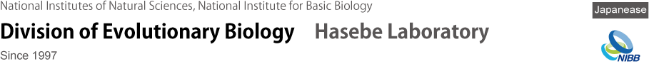 Hasebe Lab