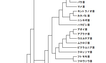 tree_003