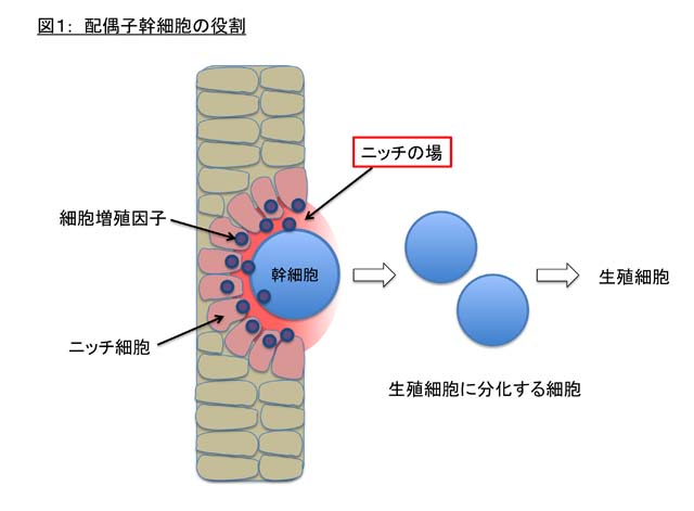 News Release 小林 1