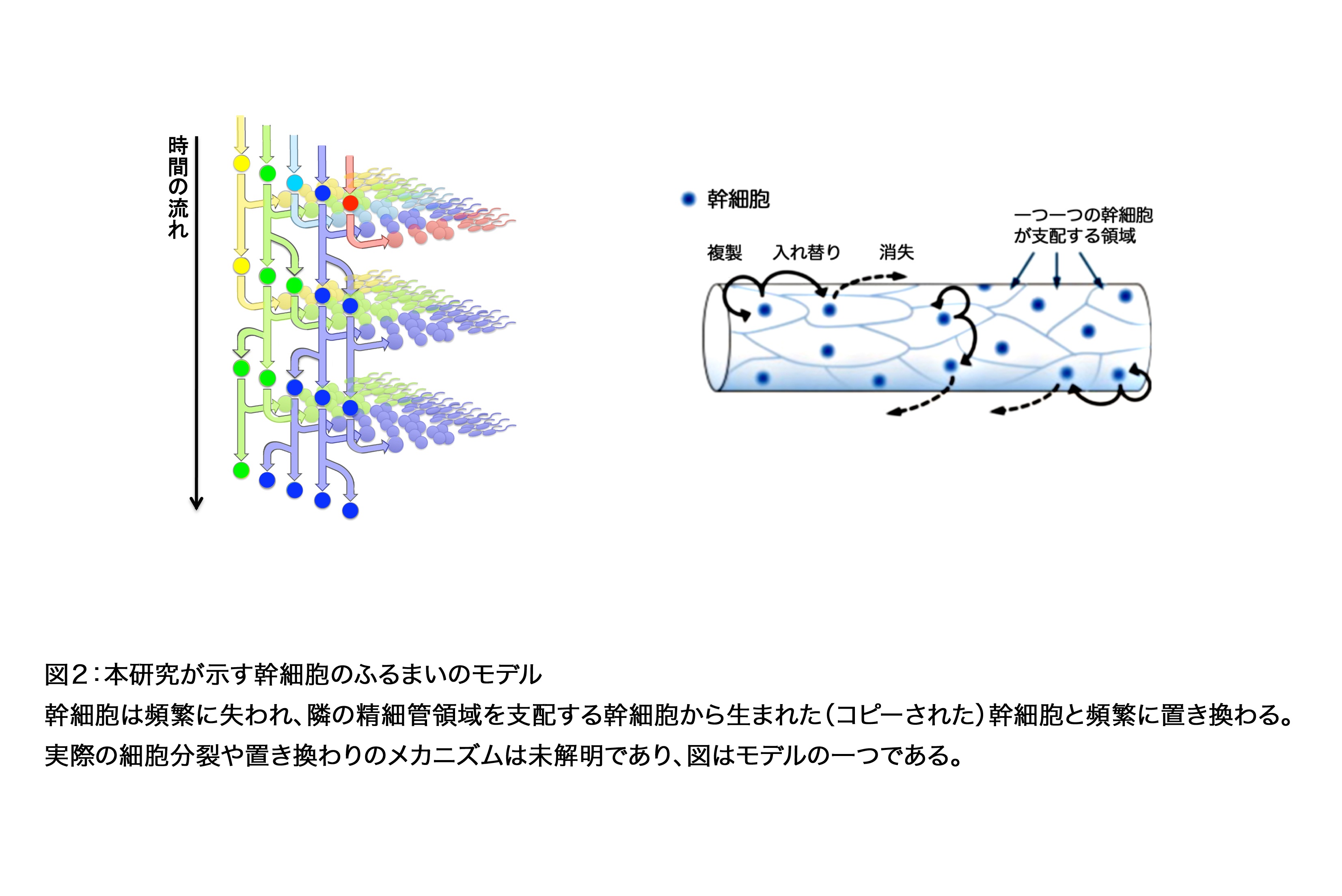 News Release 吉田 CSC2