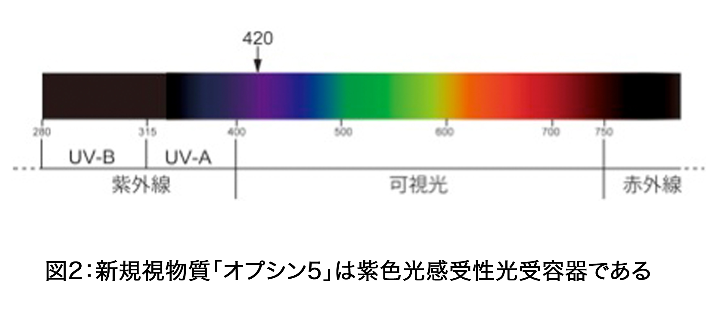 News Release 吉村 2