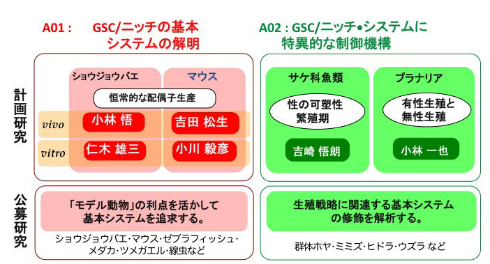 研究組織