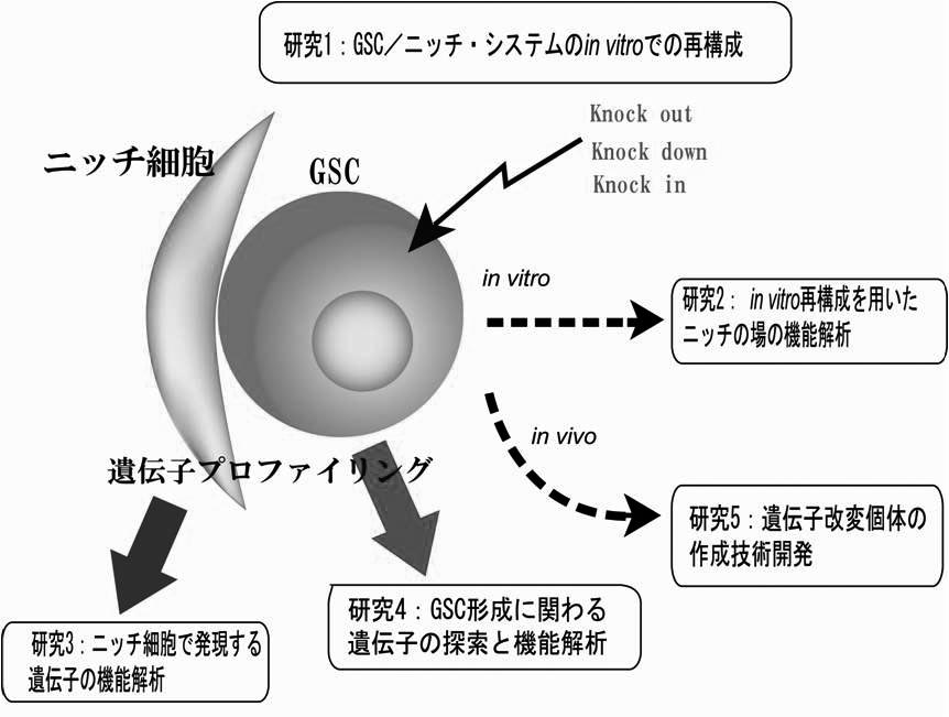 研究概要 仁木雄三