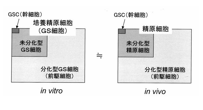 研究概要 小林悟