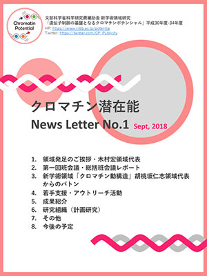 NewsLetter01