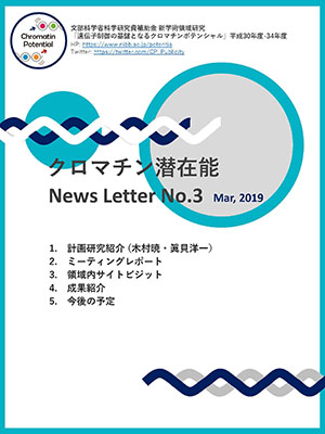 NewsLetter03