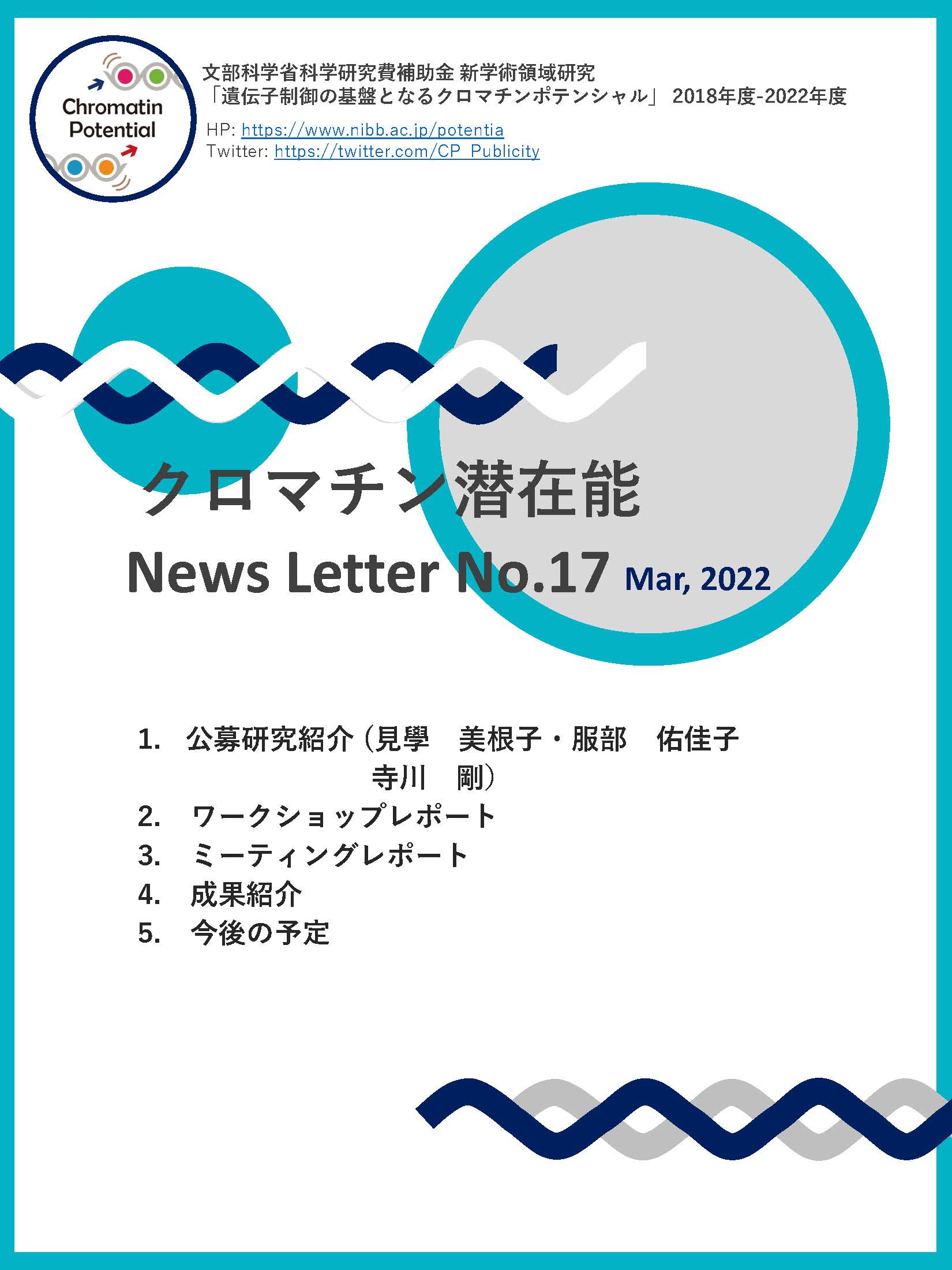 NewsLetter17