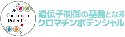 新学術領域研究「遺伝子制御の基盤となるクロマチンポテンシャル」