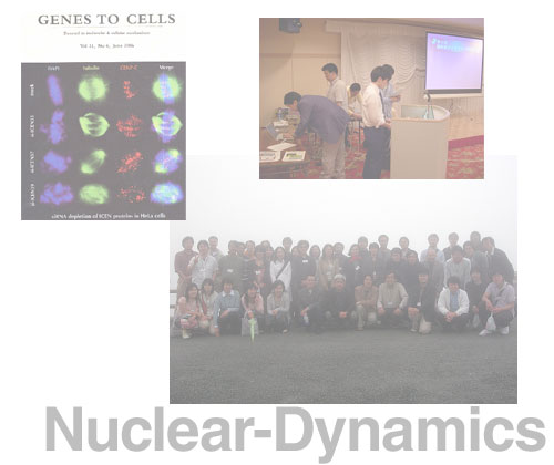 Nuclear-Dynamics