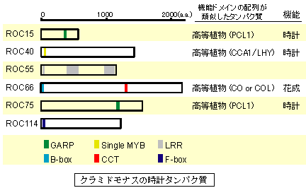 N~hiX̎v^pN