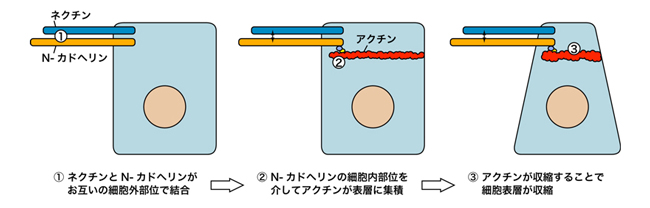 図3