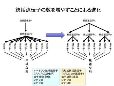 図2