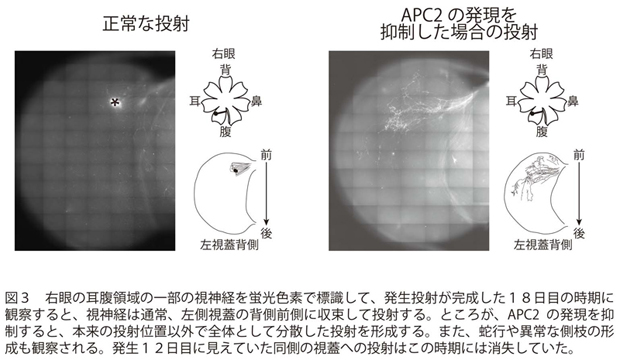 090916fig3.jpg