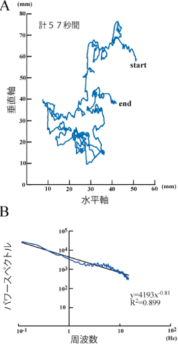 fig2s.jpg