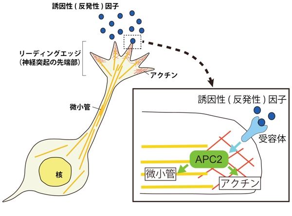 fig2_web.jpg