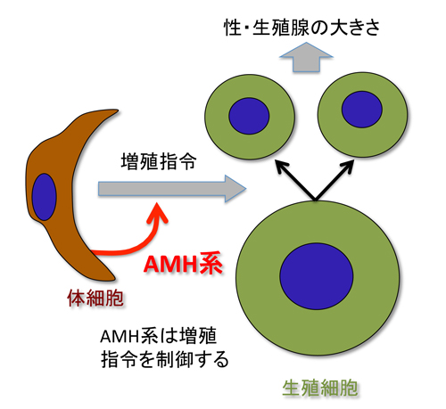 fig2.jpg