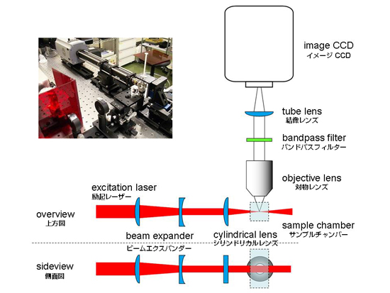 Fig1-s.jpg