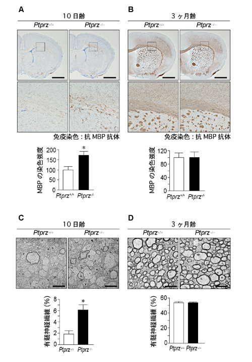 fig2.jpg