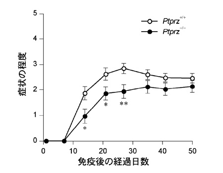 fig3.jpg