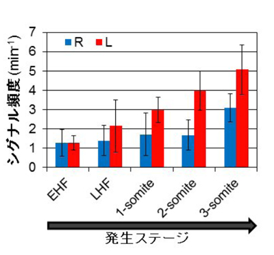 fig3.jpg