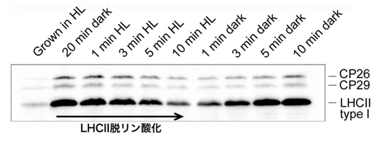 fig2.jpg