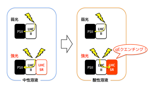 fig2.jpg