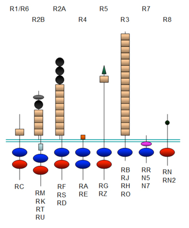 fig2.jpg