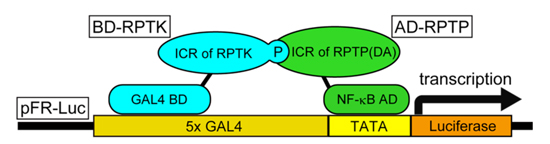 fig3.jpg