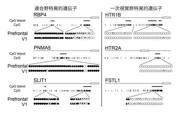 fig2.jpg