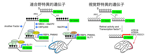 fig4.jpg