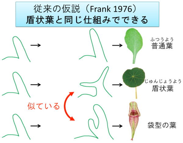 fig2.jpg