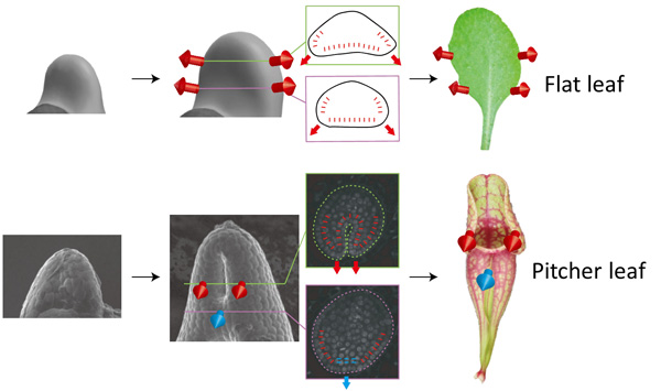 fig2_e.jpg