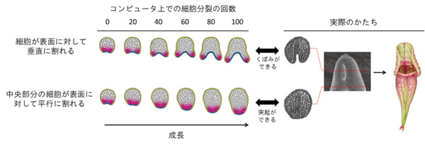 fig5.jpg