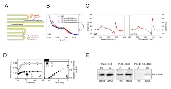 fig01.jpg