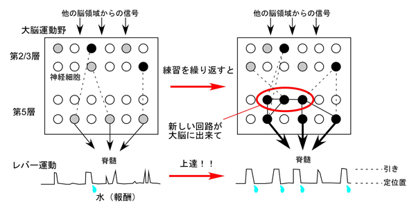 fig4.jpg