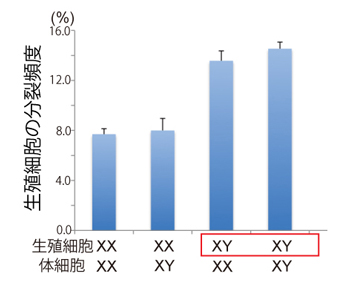 fig2.jpg