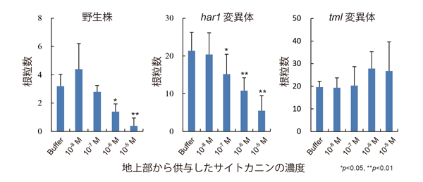 fig3.jpg