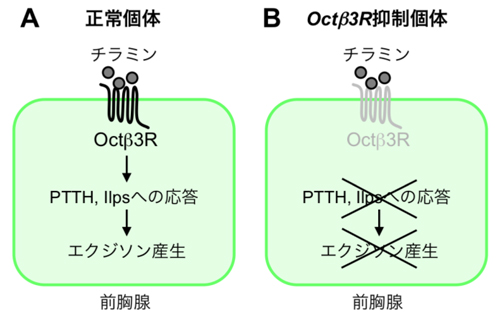 fig3.jpg