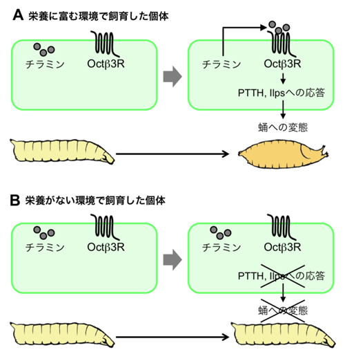 fig4.jpg