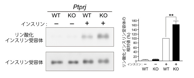 fig3.jpg