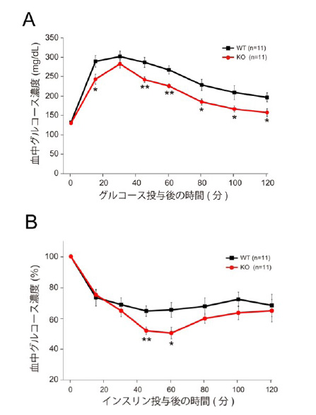 fig4.jpg