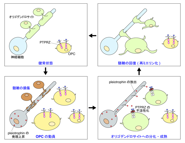 fig5.jpg