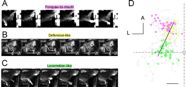 fig2.jpg