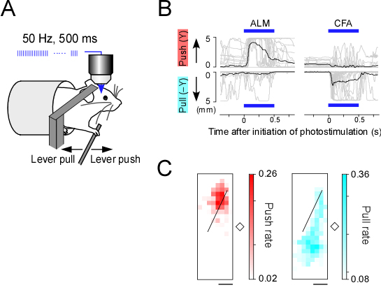 fig3.jpg